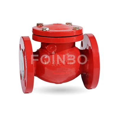 Swing Provjerite ventil prirubnice